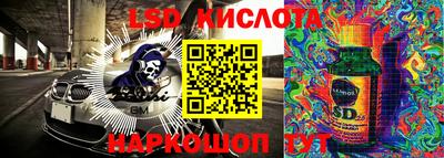 крисы Дубна