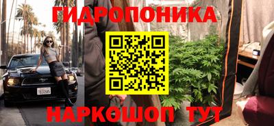 крисы Дубна