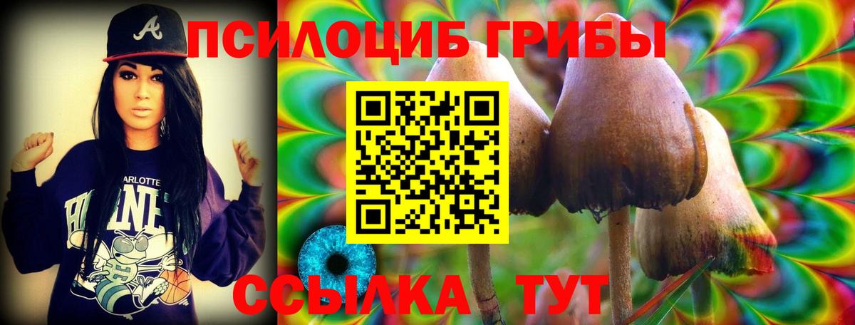 Галлюциногенные грибы Cubensis Майкоп